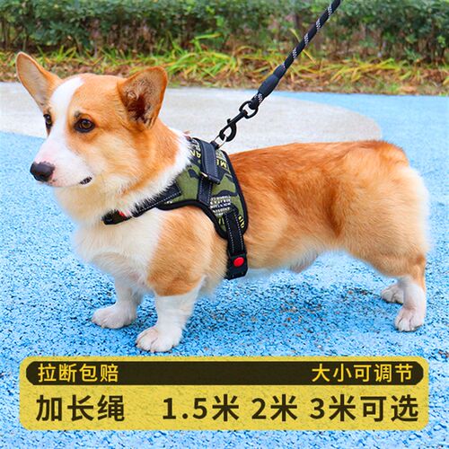 狗狗牵引绳小型犬中大型犬背心式胸背带泰迪柯基狗链子金毛遛狗绳