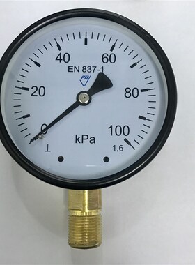 测水用100kpa压力表 直径100mm 铜螺纹m20x1.5 径向 1.6级 微压表