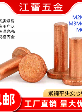 M2M2.5M3M4M5M6M8紫铜平头实心铆钉平帽铜钉手打敲击式铆钉GB109