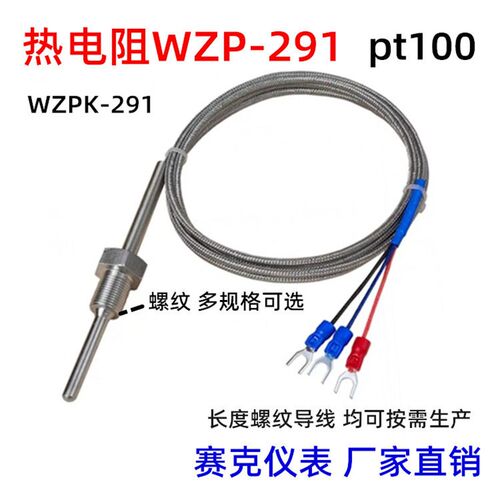 热电阻WZP-291 PT100温度监视器4分锅炉传热赶温线 铂热电阻感测
