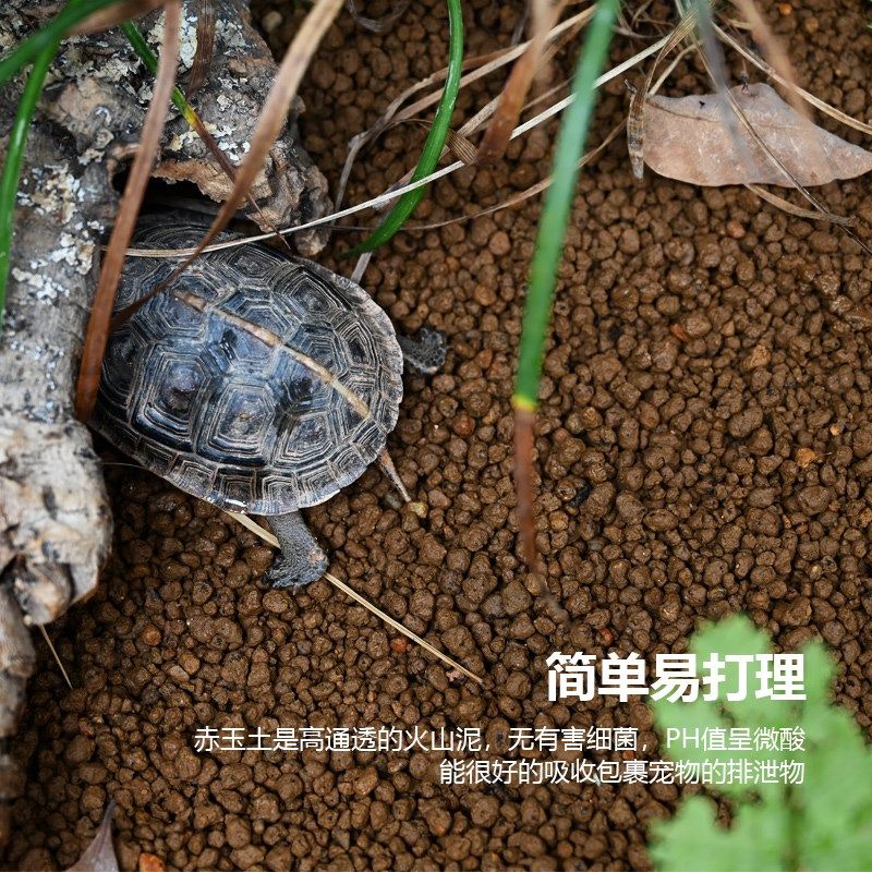 爬宠赤玉土颗粒乌龟黄缘龟守宫鬃爬宠垫料