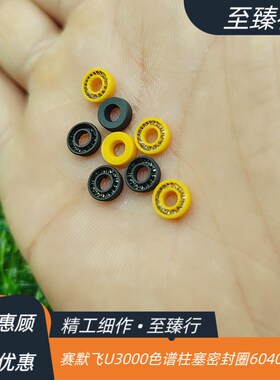 赛默飞U3000/DS/RS /BM液相色谱泵柱塞正反相密封垫圈6040.0306