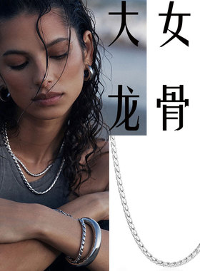 无吊坠钛钢项链男潮女细锁骨链小众设计感简约百搭不掉色龙骨素链