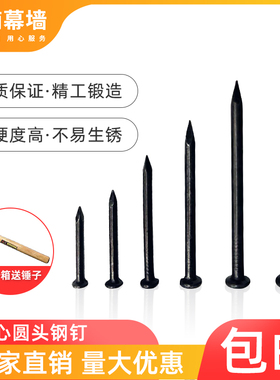 水泥钉钢钉钉子墙钉铁钉洋钉挂钩挂画相框墙壁混凝土木工钉圆钉子