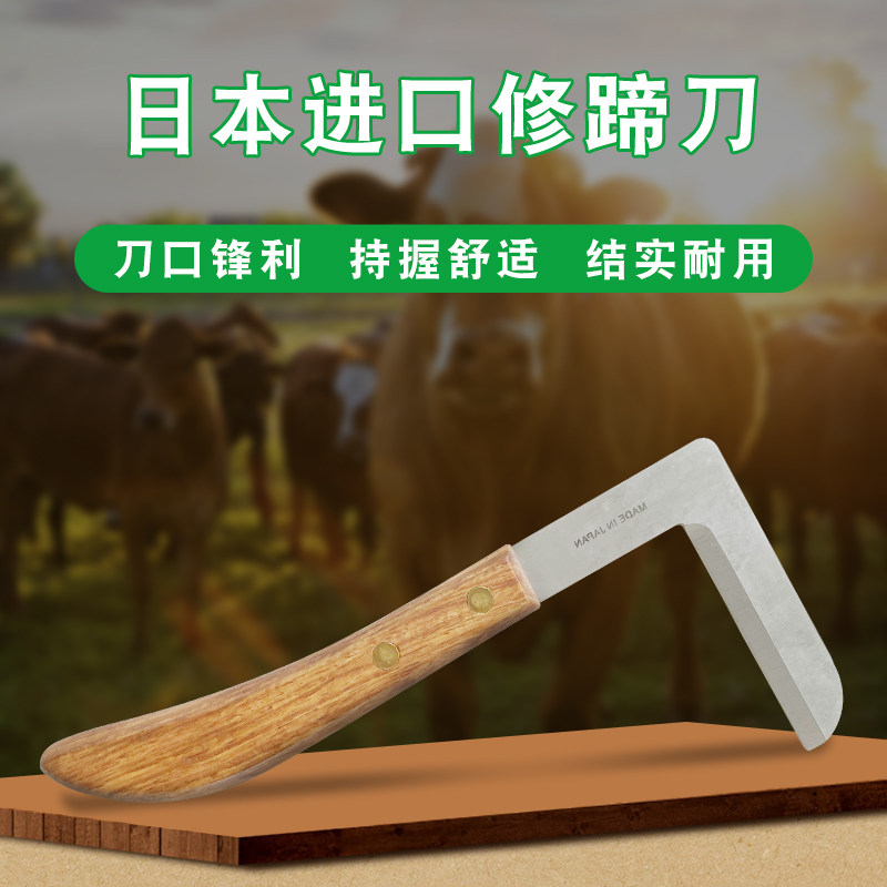 牛马俢蹄刀 进口修蹄工具驴用修蹄刀修建清理奶牛俢蹄刀 养牛设备