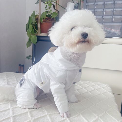 潮查利家宠物狗狗夏装防晒衣泰迪比熊约克夏猫咪公母犬防尘薄凉款