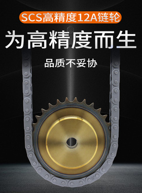 12a链轮scs高精度6分工业传动链条齿轮单排双排定做机械配件大全