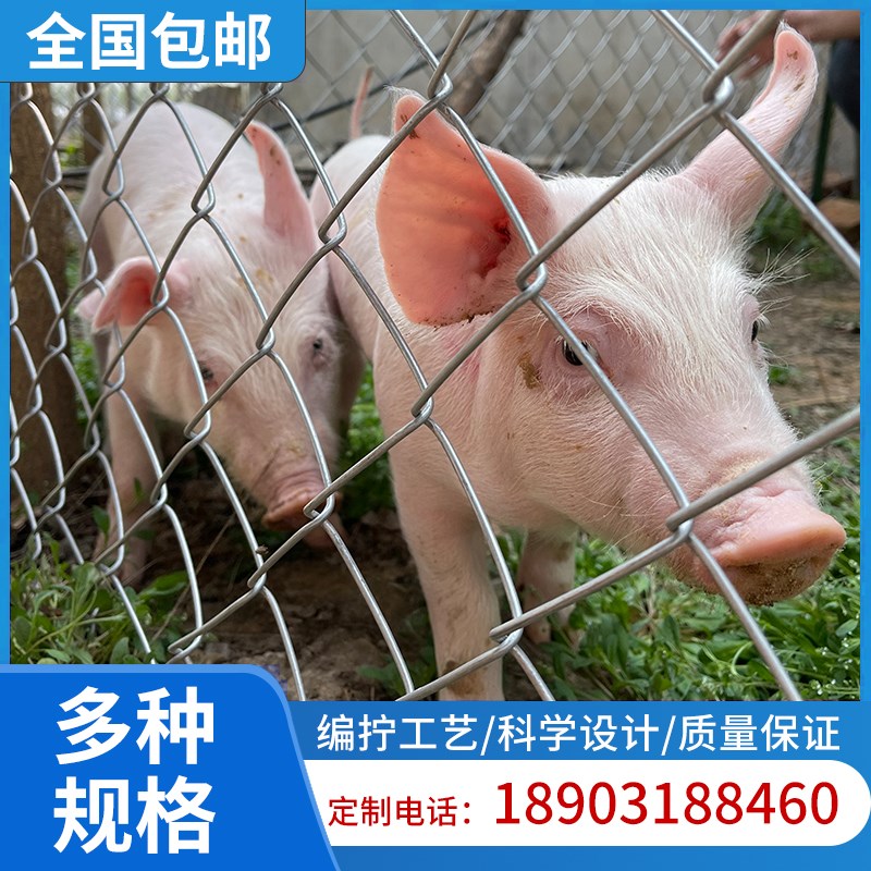 热镀锌铁丝网勾花网养鸡网养殖网果园网格防护网院墙围栏网荷兰鸡
