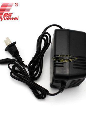 粤威12V通用卤素检漏仪NO101291电源变压器国内220V电源TIF8800X