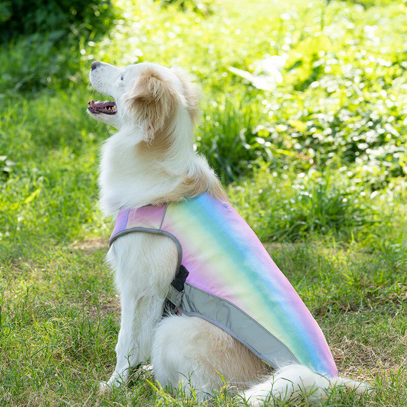 狗狗凉凉衣大型犬夏季降温凉衣服背心胸背感夏天边牧宠物降温神器