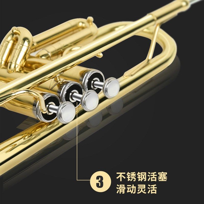 津宝小号乐器JBTR-300降B调初学者通用黄铜小号军乐队学校管乐队