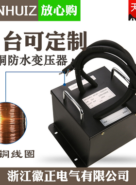 户外环形防水变压器500W1000W水下水池灯喷泉灯220V变24V隔离环牛