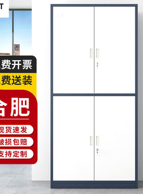 合肥文档柜档案柜财务凭证柜票据收纳柜收纳柜带锁带抽屉钢制铁皮
