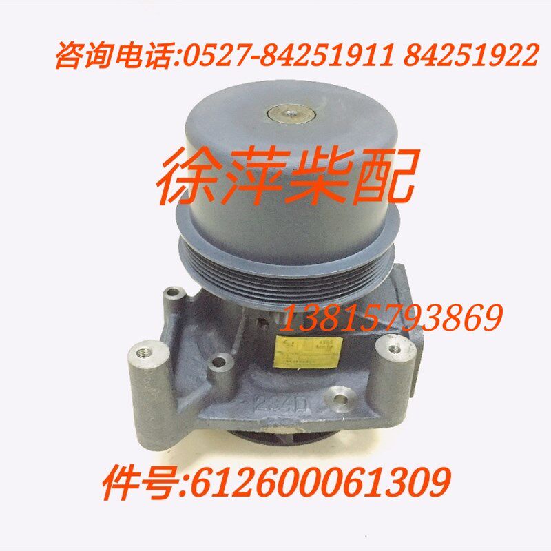 612600060134潍坊专用水泵总成WD61506SB船用斯太尔水泵发电机组