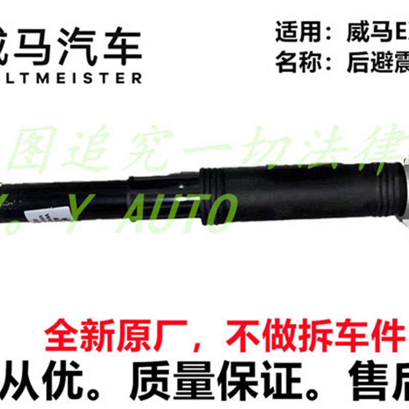 威马EX5E5EX5-ZW6后避震机总成后减振器分总成后支柱装置总成全新