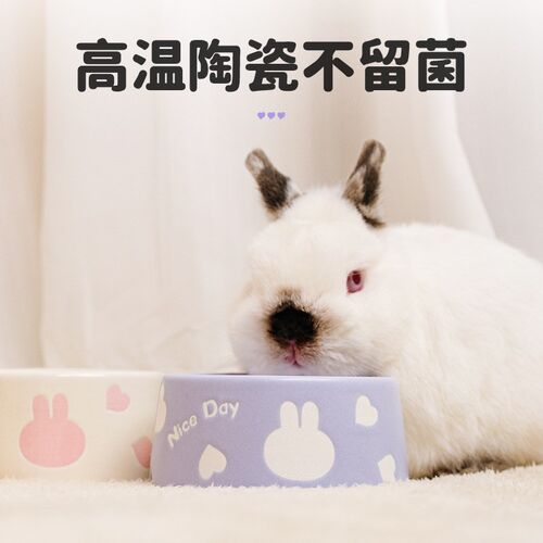 UMI爱心兔子碗食盆防打翻陶瓷碗防咬防扒可爱兔用品粮食碗高颜值