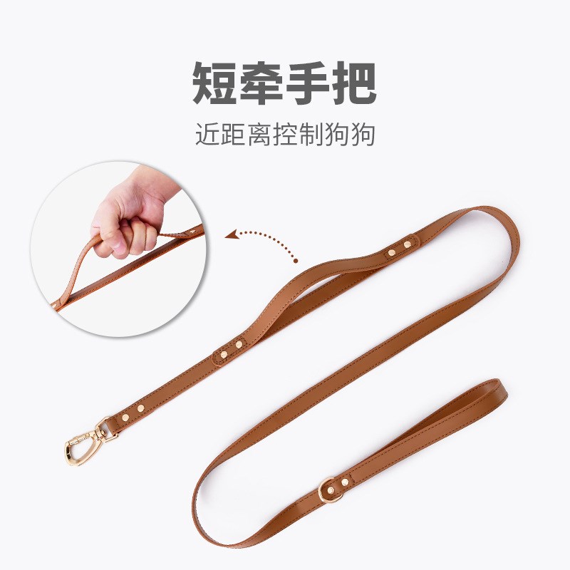 防水柔软皮质小狗狗高颜值胸背带宠物牵引绳套装轻奢小型犬遛狗绳