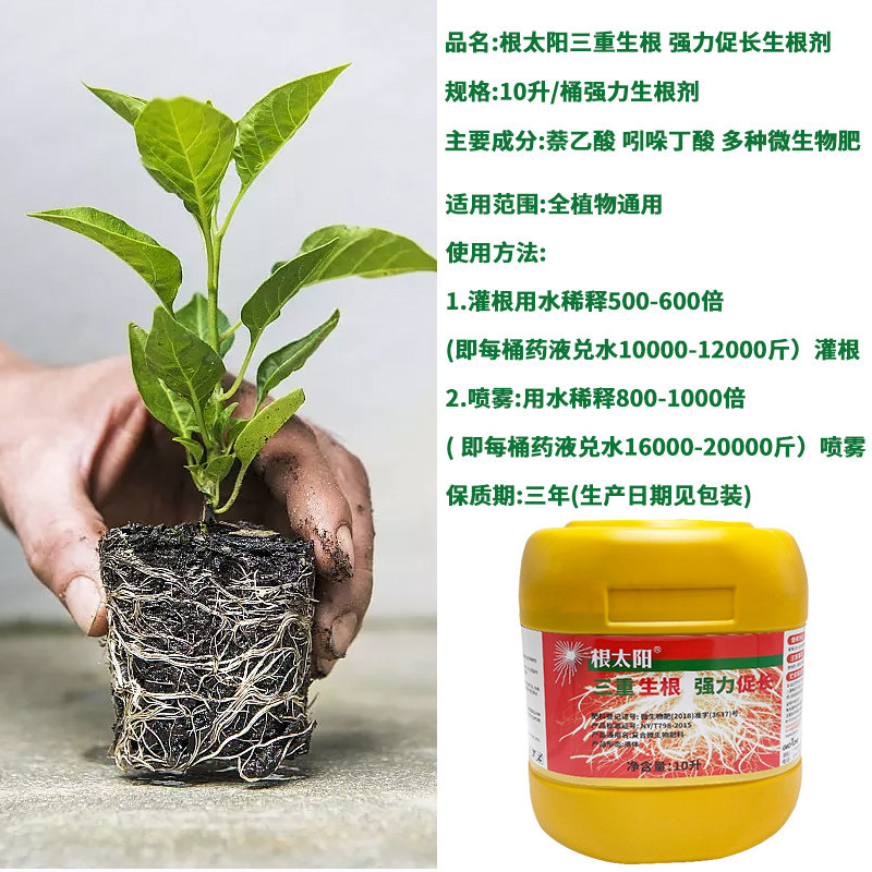 根太阳生根剂植物龙公司爆发式生根剂苗木果蔬生根壮苗微生物菌剂