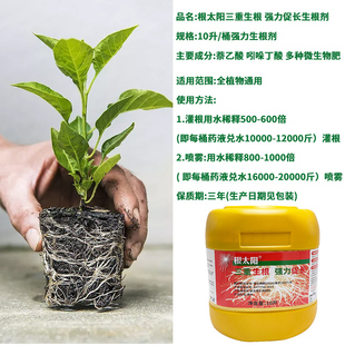 根太阳生根剂植物龙公司爆发式生根剂苗木果蔬生根壮苗微生物菌剂