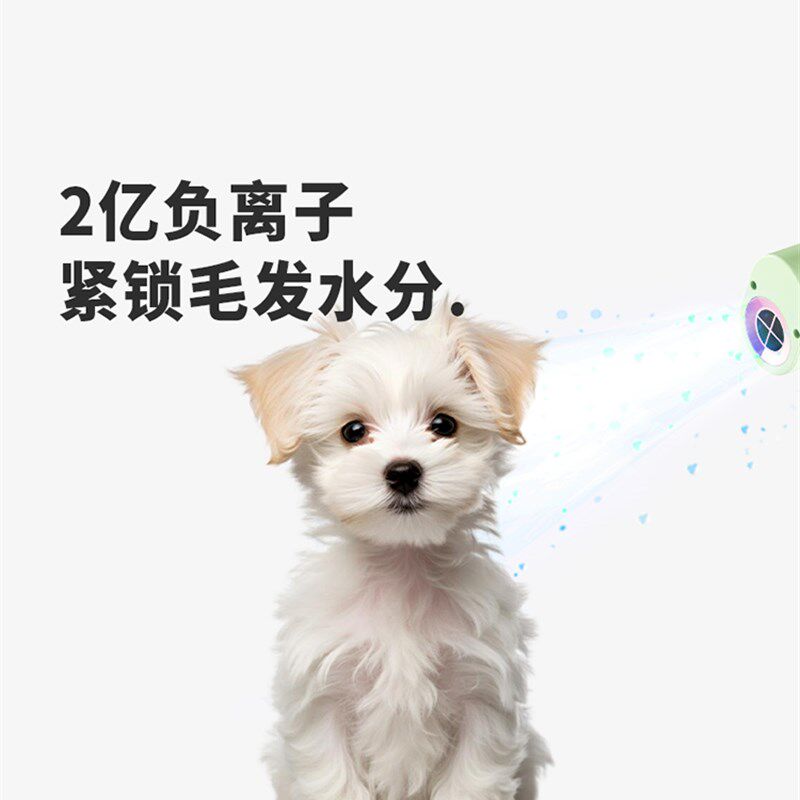 4 - 7宠物吹风机遛狗和猫,所有的一体式吹风机洗澡,特殊挂颈吹干