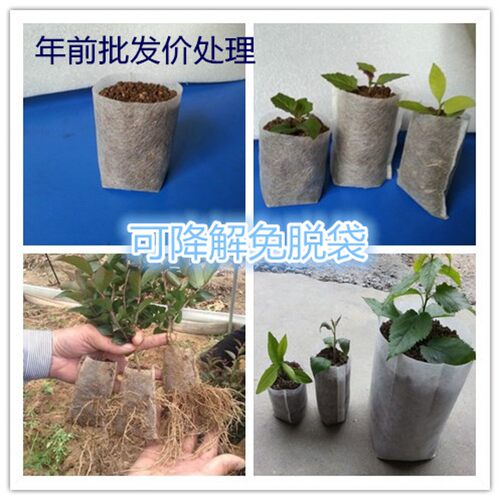 无纺布育苗袋营养袋植树袋一次性加厚种植可降解容器袋可定制