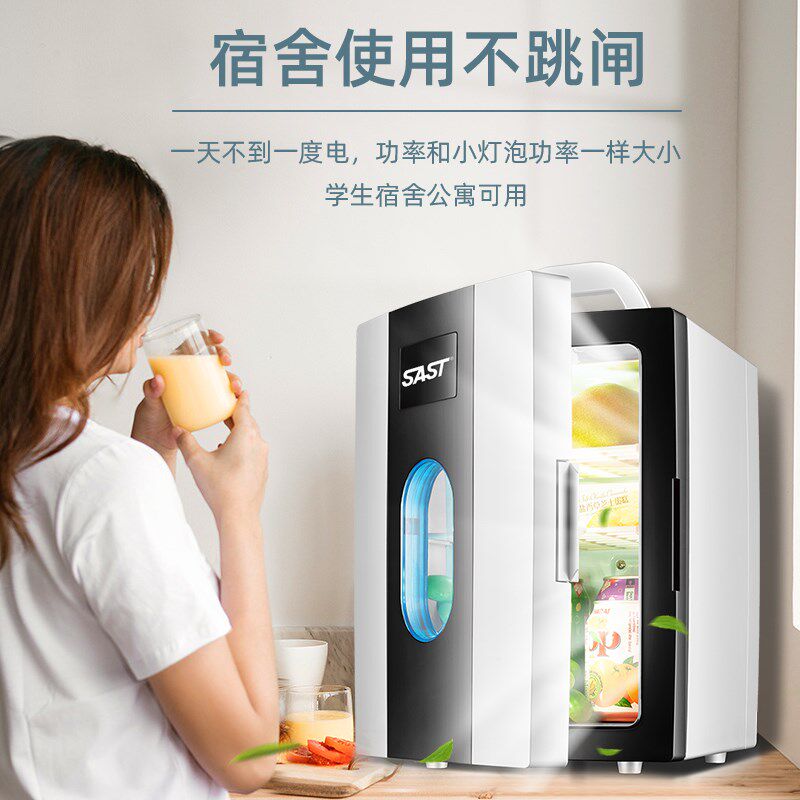 SAST车载迷你小冰箱mini车家两用母乳化妆品小型学生宿舍单人冷藏