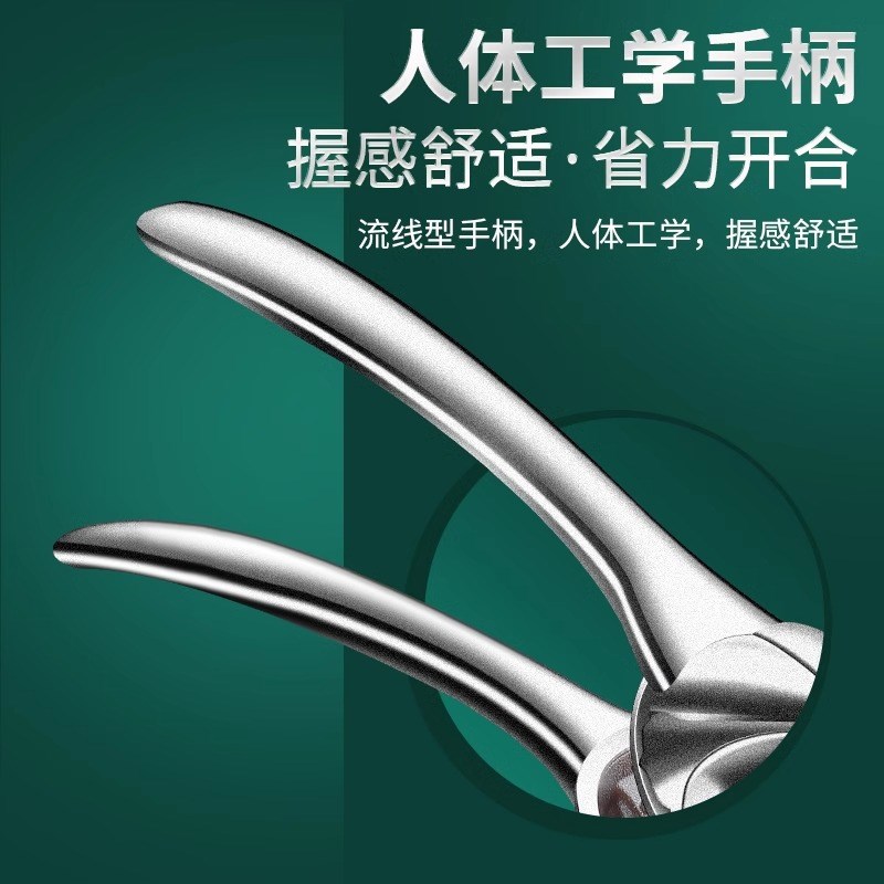 板栗开口器全自动款栗子核桃夹子神器家用不锈钢松子榛子去开壳器