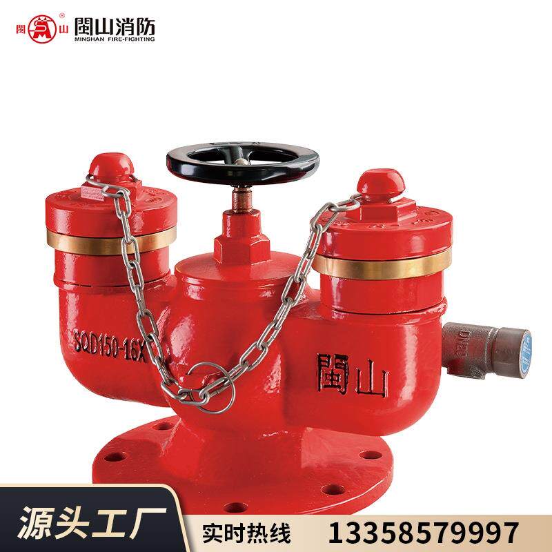 消防地下多功能水泵接合器SQD100/150-1.6消防多用式水泵结合