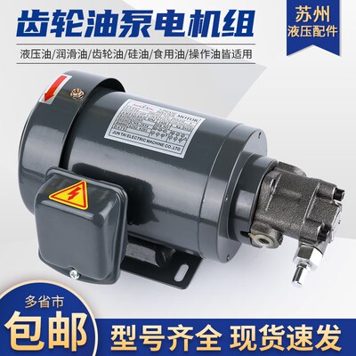 液压1/4HP 0.19KW电机油压头组合润滑摆线泵T0P/ROP/-11/12/13A