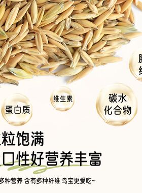 黑金白玉双色麦草籽玄风鹦鹉专用营养鸟食粮饲料虎皮牡丹奖励零食