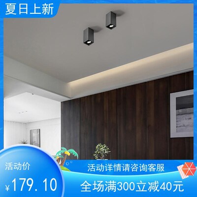 西顿照明明装射灯免开孔客厅家用无主灯天花灯吸顶射灯CEX9102C