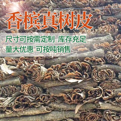 香槟树皮鱼缸背景板天然真树皮造景装饰绿植墙爬宠躲避箱软木树皮