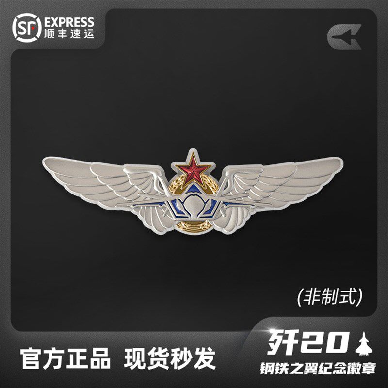 HK中航空周边文创歼20飞机钢铁之翼纪念徽章军迷胸章珠海航展