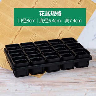 多肉花盆托架塑料8cm小方盆托架组合植物育苗盆蓄水收纳整理托子