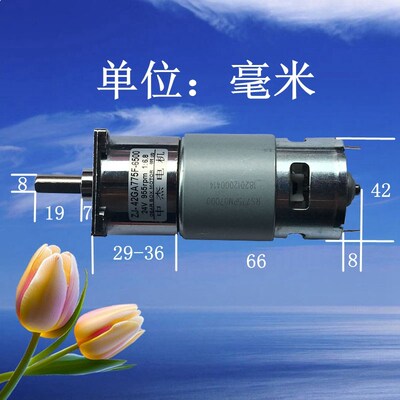 ZJ-42GA775直流慢速减速微型电机12V24V正反转大扭矩低速调速马达