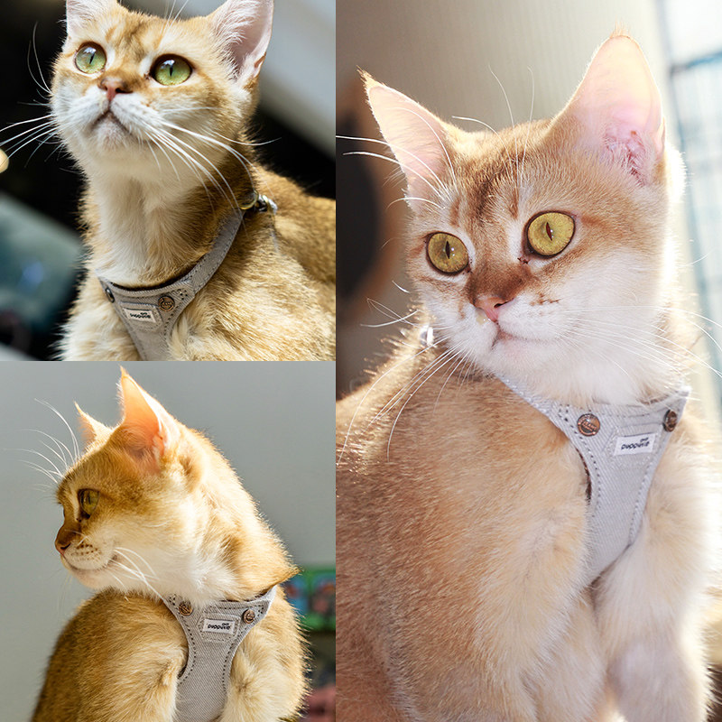 猫咪牵引绳背心式胸背带外出专用防挣脱溜猫绳子栓猫链子宠物用品