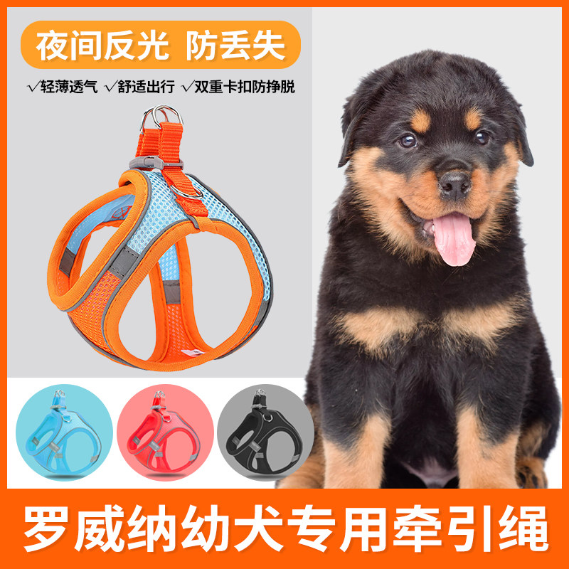 罗威纳幼犬专用牵引绳遛狗绳超小体犬小型犬小狗胸背狗绳狗狗用品图片
