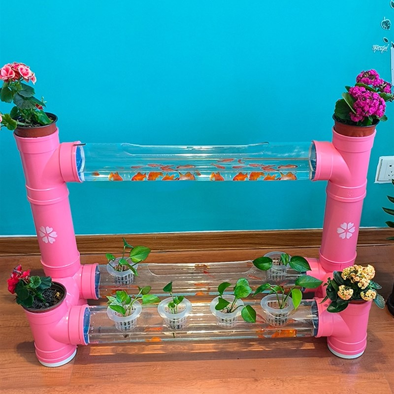 透明管养鱼架个性鱼缸幼儿园植物角装饰摆件创意花架可循环鱼缸