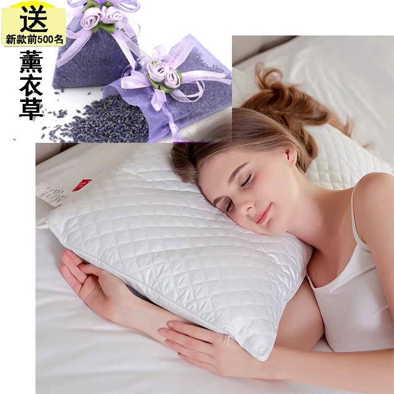 全填充决明子枕头枕芯硬枕儿童助成人老人睡眠夏天去火凉爽护颈椎