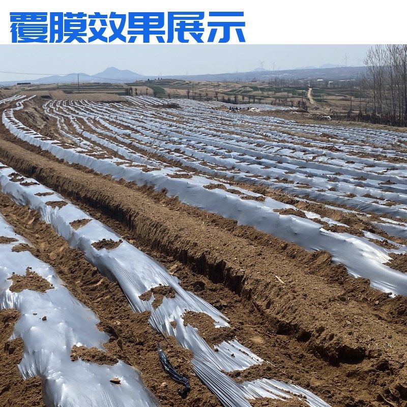 手扶拖拉机汽柴油微耕旋耕机地膜覆盖铺膜器打药滴灌红薯花生土豆