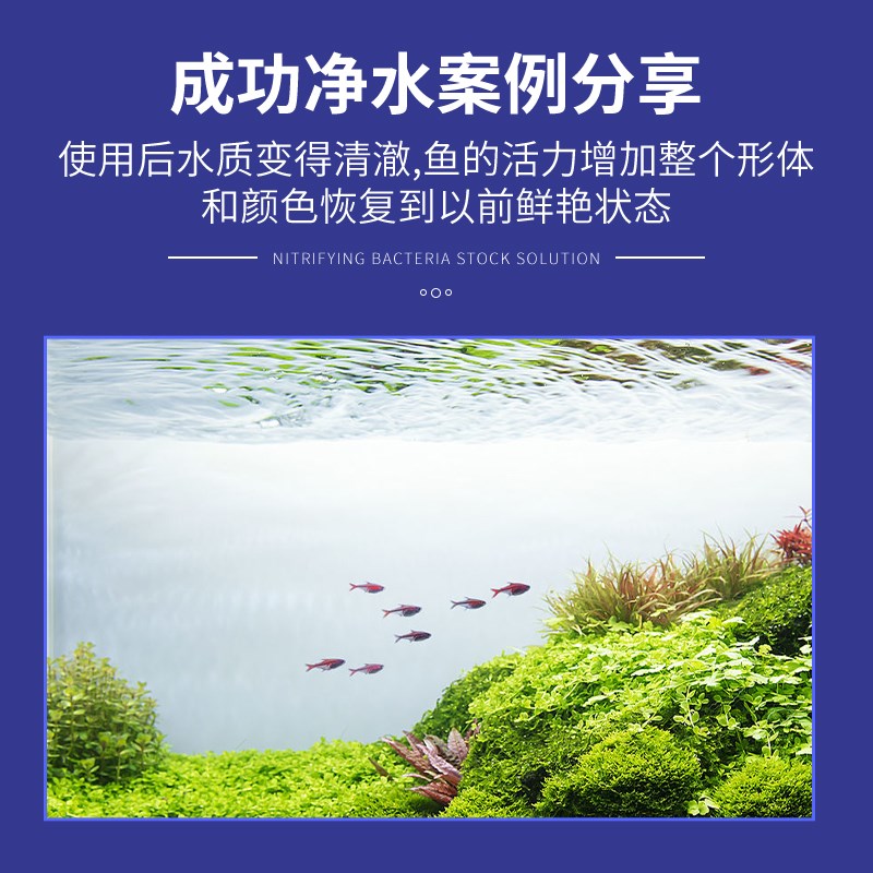 贝意品水质稳定剂水族观赏鱼自来水除氯剂鱼乐宝安定剂鱼缸净水剂