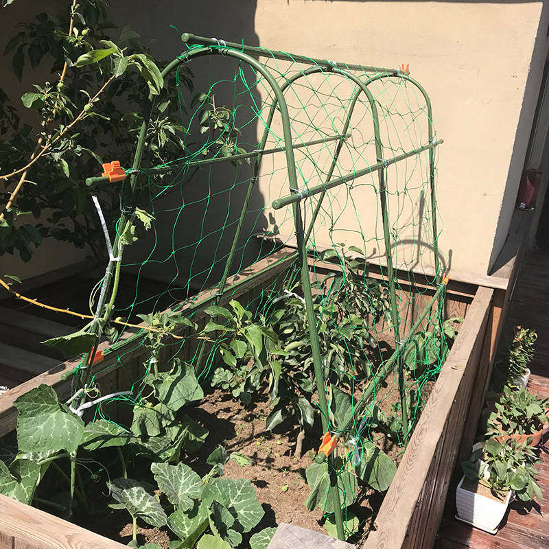 种菜爬藤架黄瓜架子种植葡萄拱形架杆植物支撑架攀爬豆角丝瓜藤架