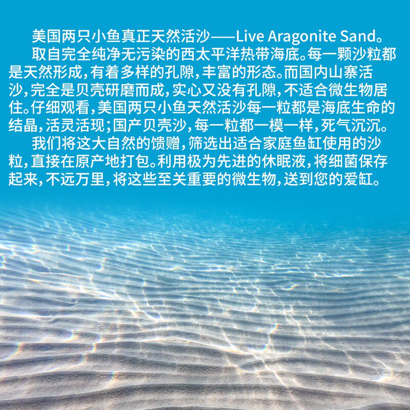 两只小鱼活沙细砂粗砂含天然菌群海水族鱼缸沙子免洗海缸底沙底砂
