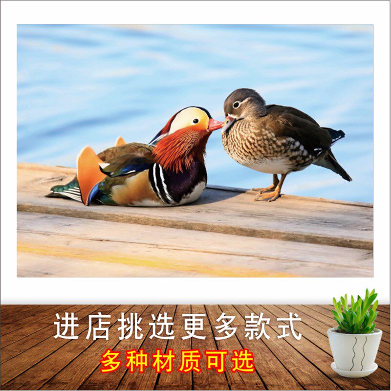 卧室床头贴画结婚喜庆海报荷花图装饰画婚房壁画贴鸳鸯戏水墙画