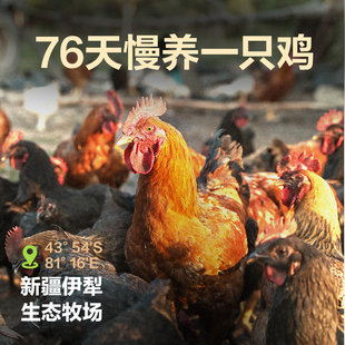 网易天成低温烘焙全价鲜肉猫粮成猫幼猫奶糕无谷天然布偶蓝猫美短