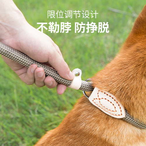 狗狗牵引绳防爆冲P链遛狗绳子防挣脱狗炼子中大型犬防爆冲拴狗绳