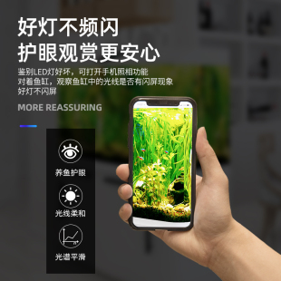 LED蓝白光支架灯 寄居蟹助发色 草莓淡紫增强体色 生态照明水草灯