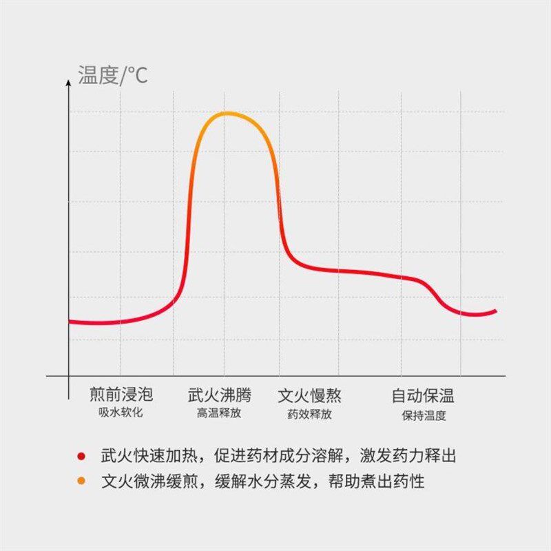 1000瓦加大功率大容量熬药全自动煎药煮药电煎中医壶家用带炖药罐