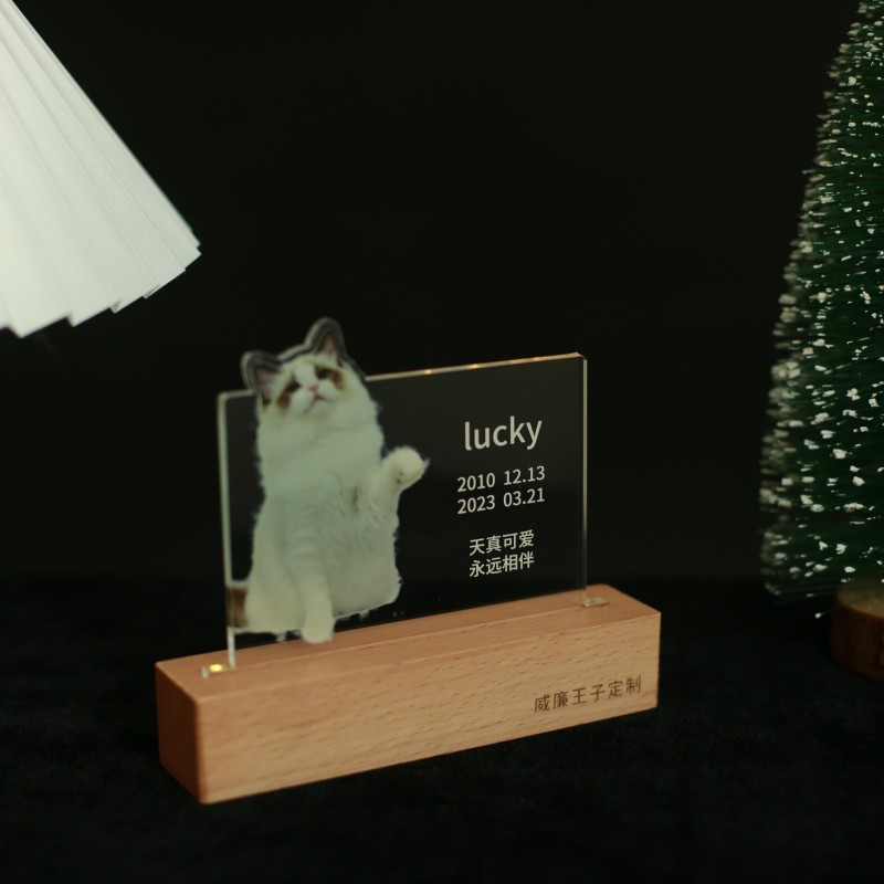 宠物纪念品小猫咪狗定制摆件长明灯刻字留恋台灯照片碑台设计相框