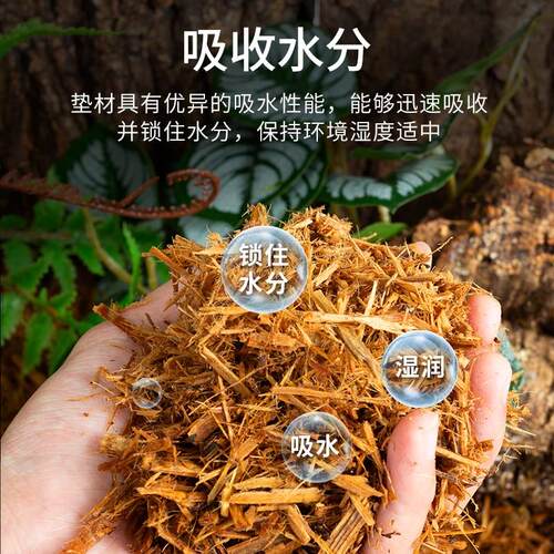 瑞皮Reptizoo森林地表爬虫爬宠垫材树皮守宫蛇陆乌龟鬃狮蜥蜴造景